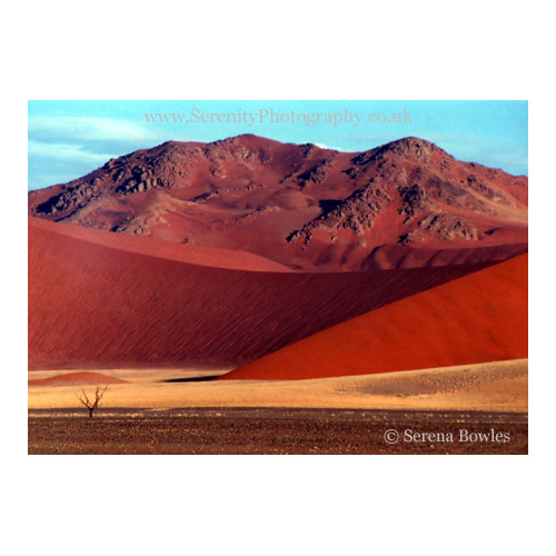 Stunning sand dunes of teh Namib Desert, Namibia.